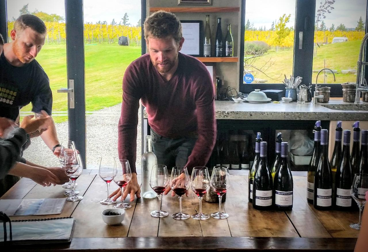 Private Half Day Wine Tour - Photo 1 of 5